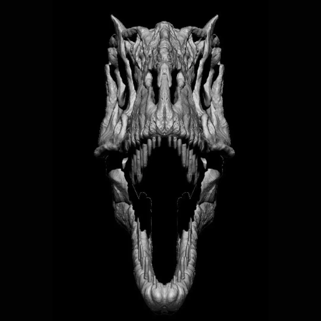 Yutyrannus skull 3D print model_3