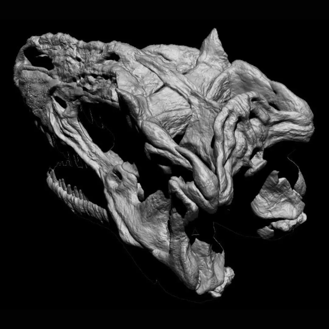 Yutyrannus skull 3D print model_4