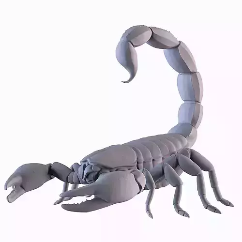 Scorpion