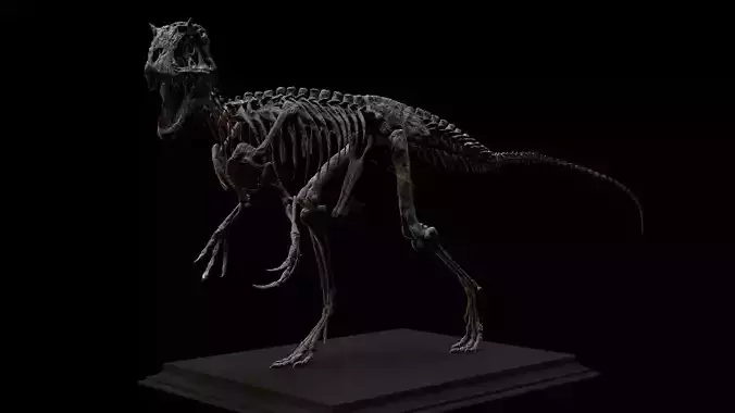 YUTYRANNUS SKELETON