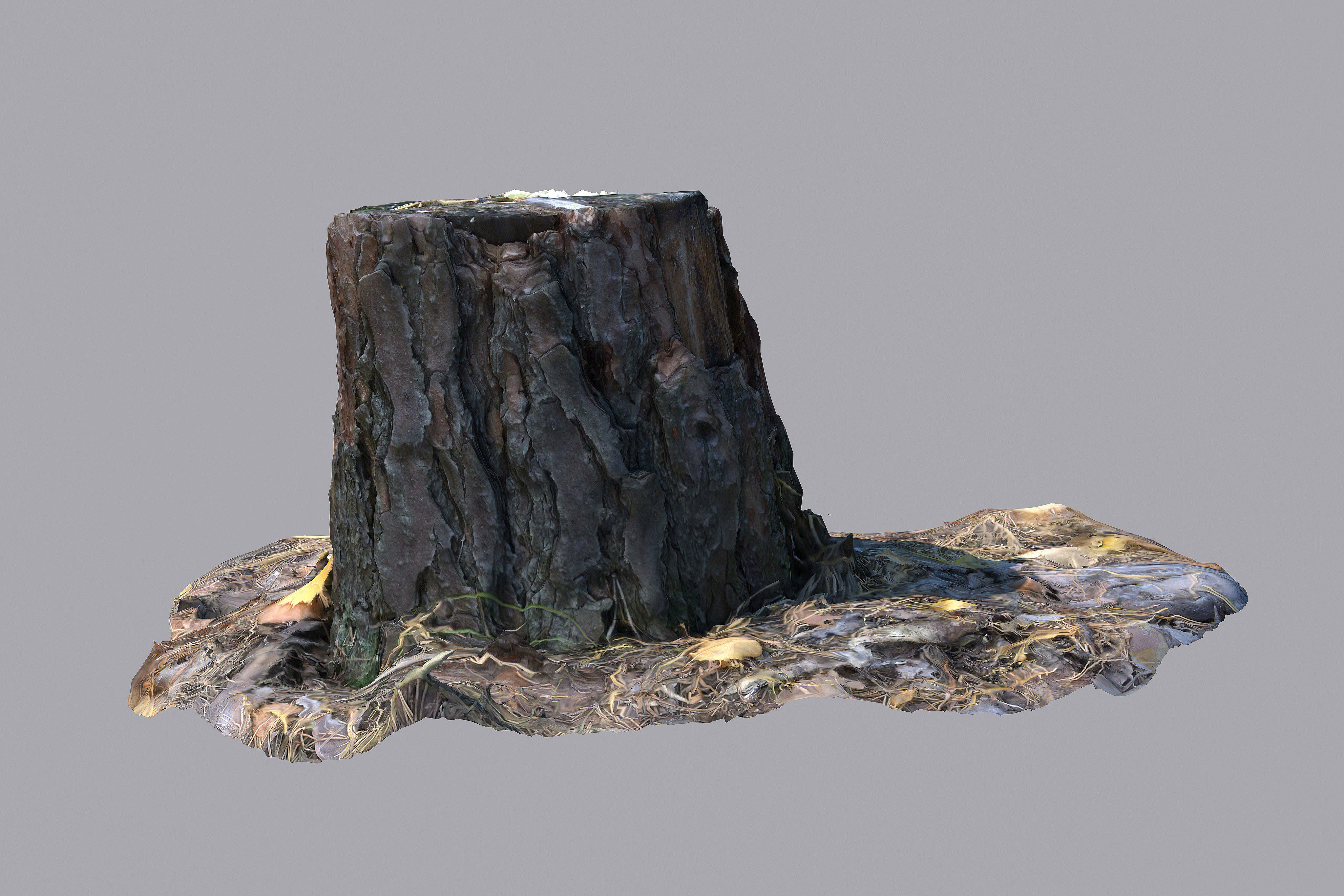 Stump 3D model_6