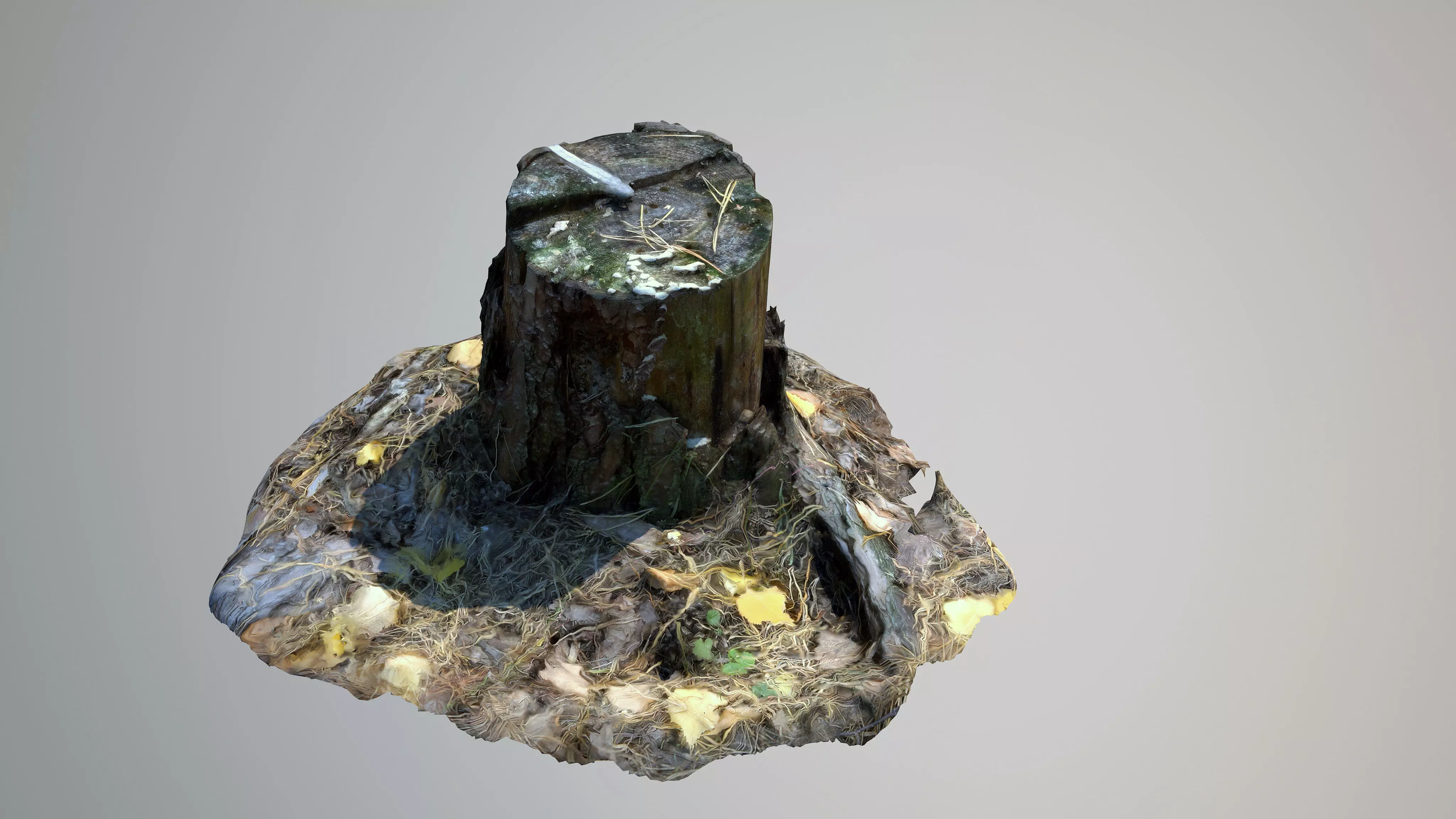 Stump 3D model_0