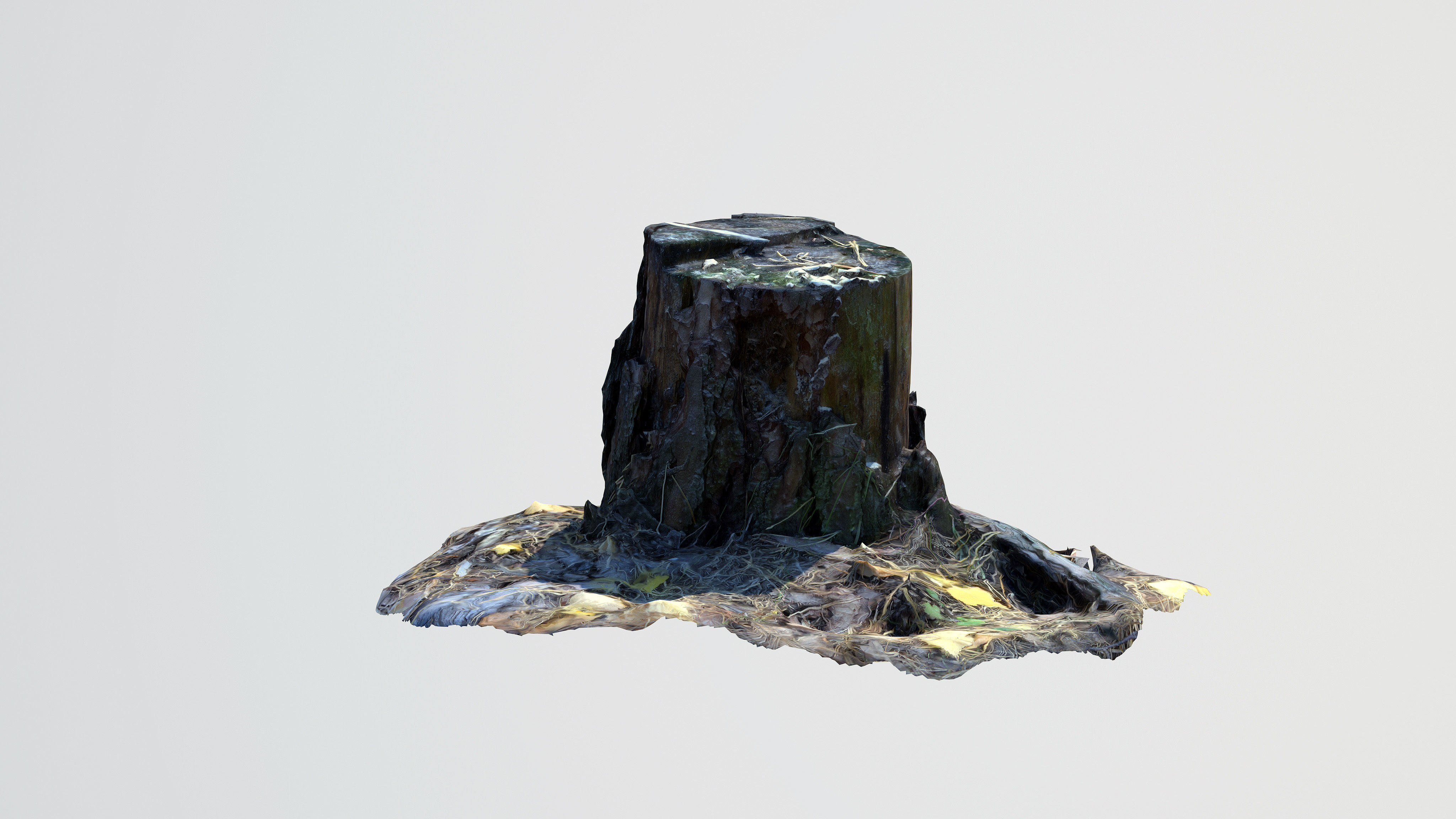 Stump 3D model_5