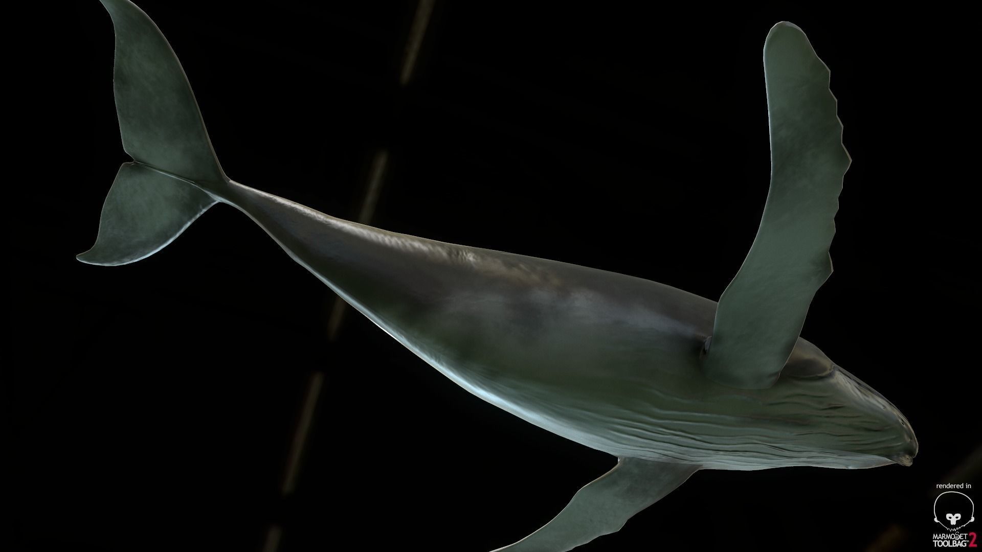 Rigged Humpback Whale Low-poly 3D model_6