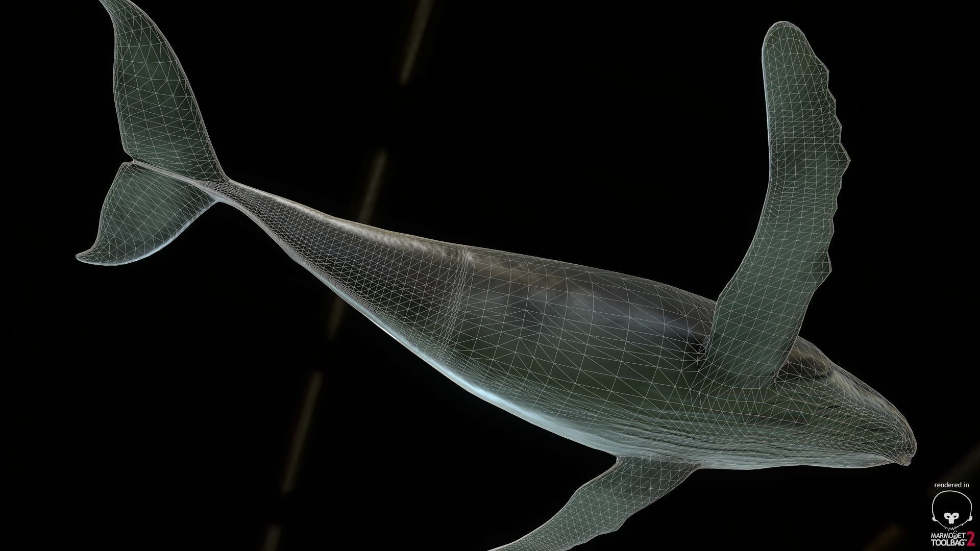 Rigged Humpback Whale Low-poly 3D model_7