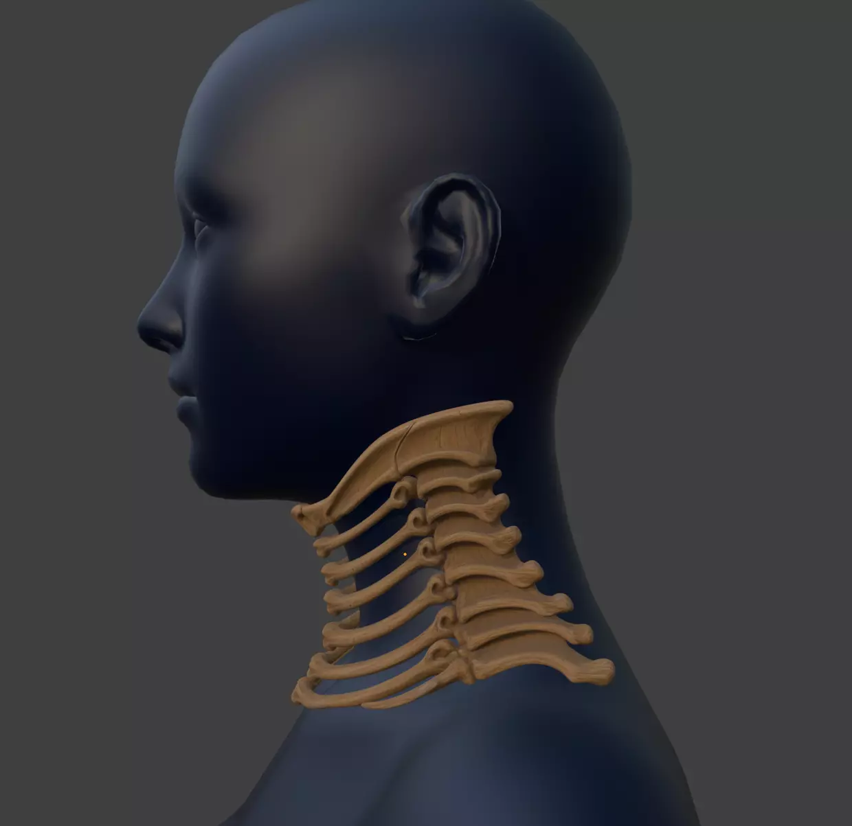 BONE GORGET 3D print model_2