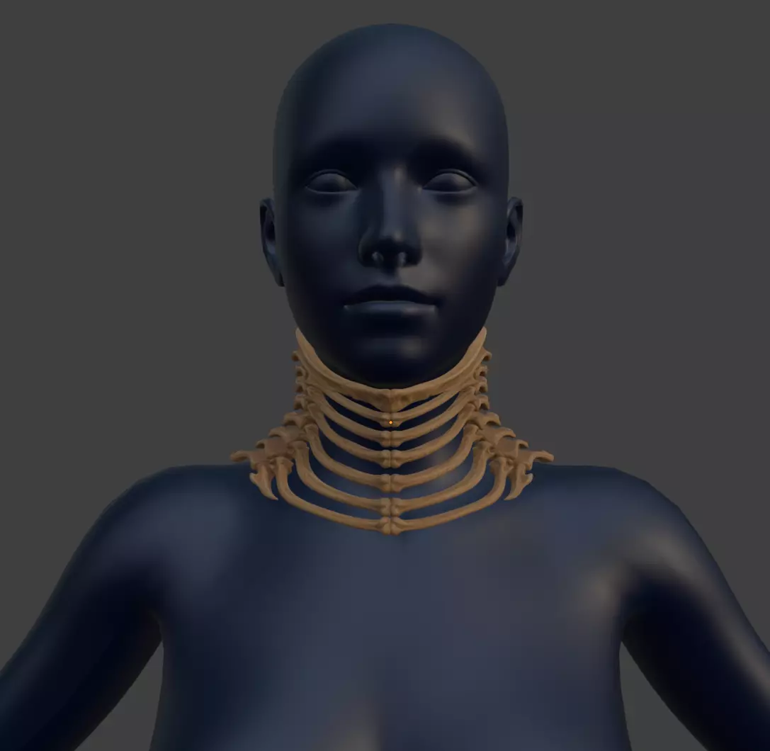 BONE GORGET 3D print model_0