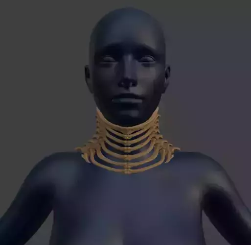 BONE GORGET 3D print model BONE GORGET 3D print model