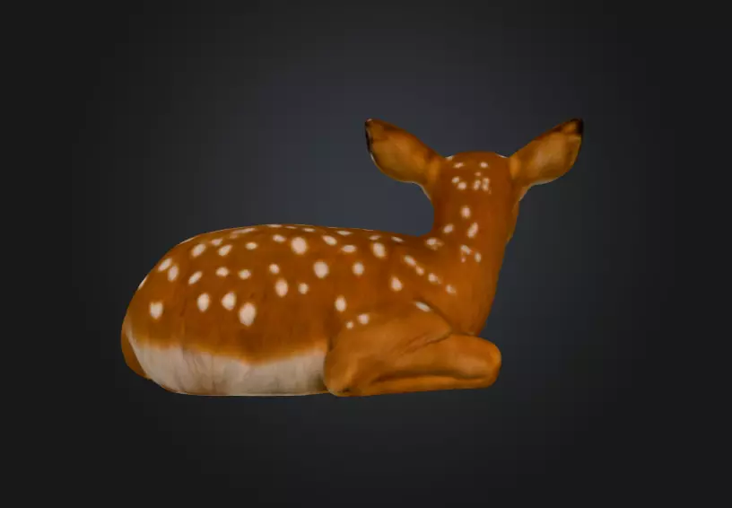 White Tailed Deer Spotted Fawn Realistic 3D model_6