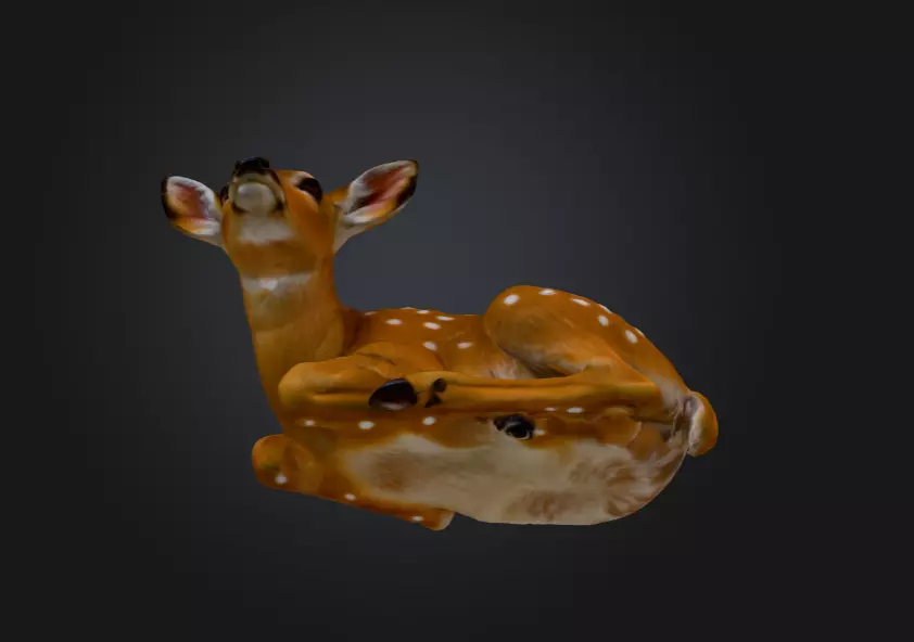 White Tailed Deer Spotted Fawn Realistic 3D model_13