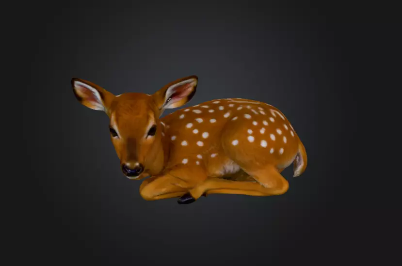 White Tailed Deer Spotted Fawn Realistic 3D model_4