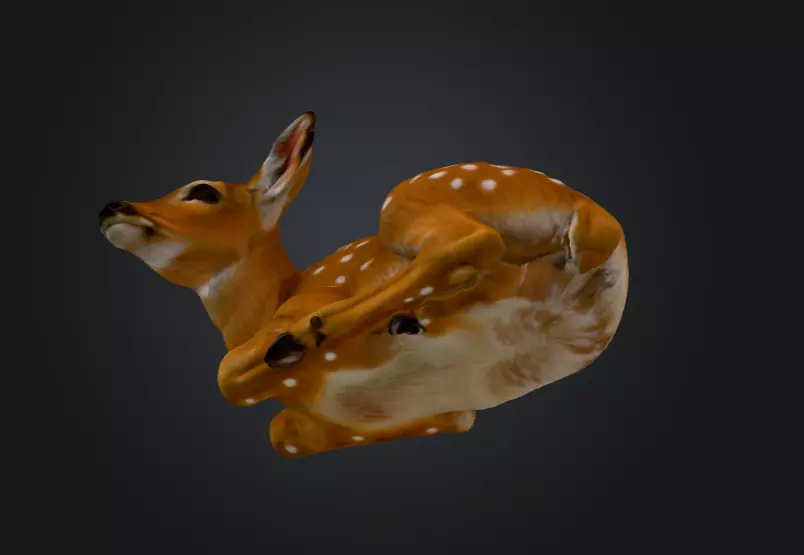 White Tailed Deer Spotted Fawn Realistic 3D model_10