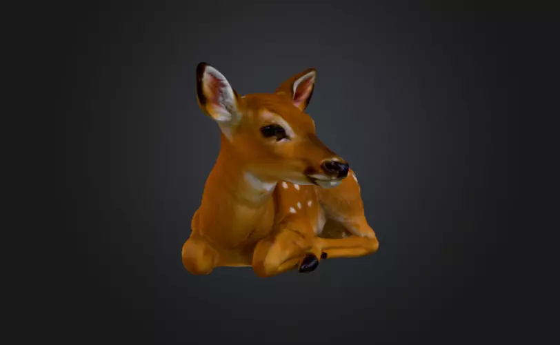 White Tailed Deer Spotted Fawn Realistic 3D model_3