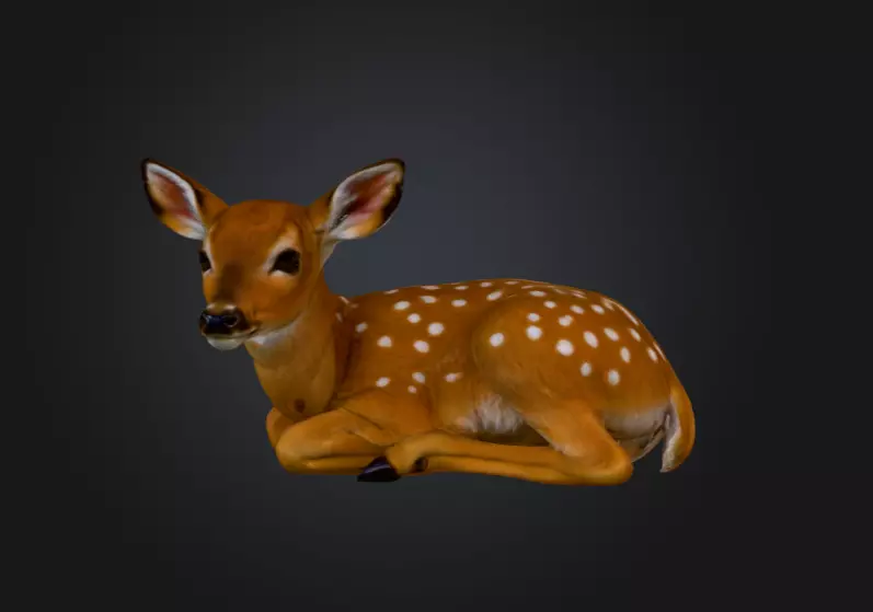 White Tailed Deer Spotted Fawn Realistic 3D model_1