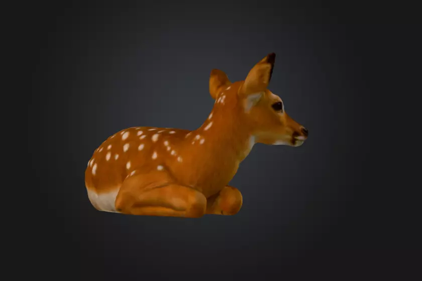 White Tailed Deer Spotted Fawn Realistic 3D model_5