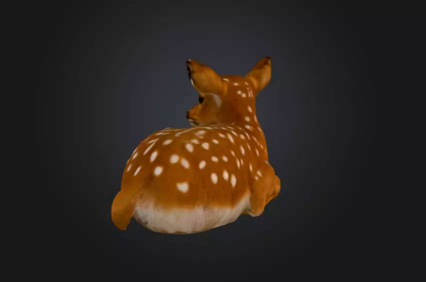 White Tailed Deer Spotted Fawn Realistic 3D model_2