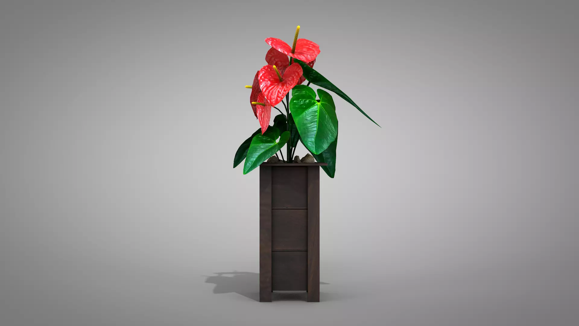Vase Anthurium Plant 3D Model 3D model_0
