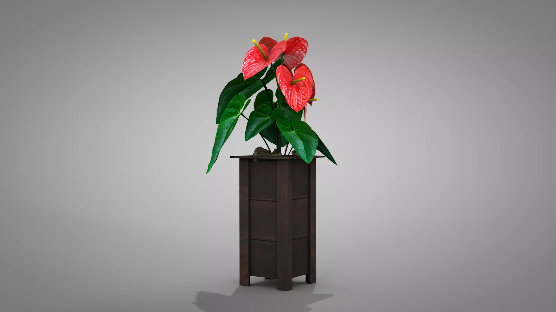 Vase Anthurium Plant 3D Model 3D model_8