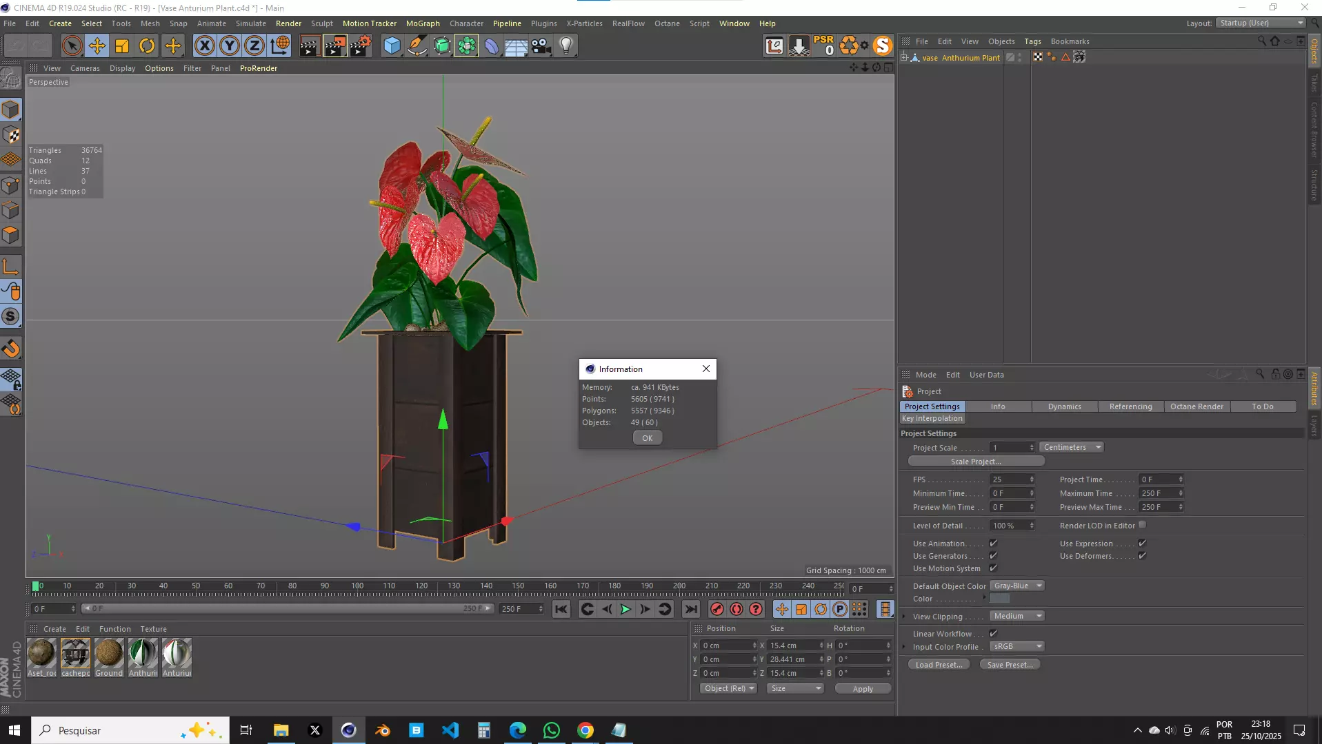 Vase Anthurium Plant 3D Model 3D model_13