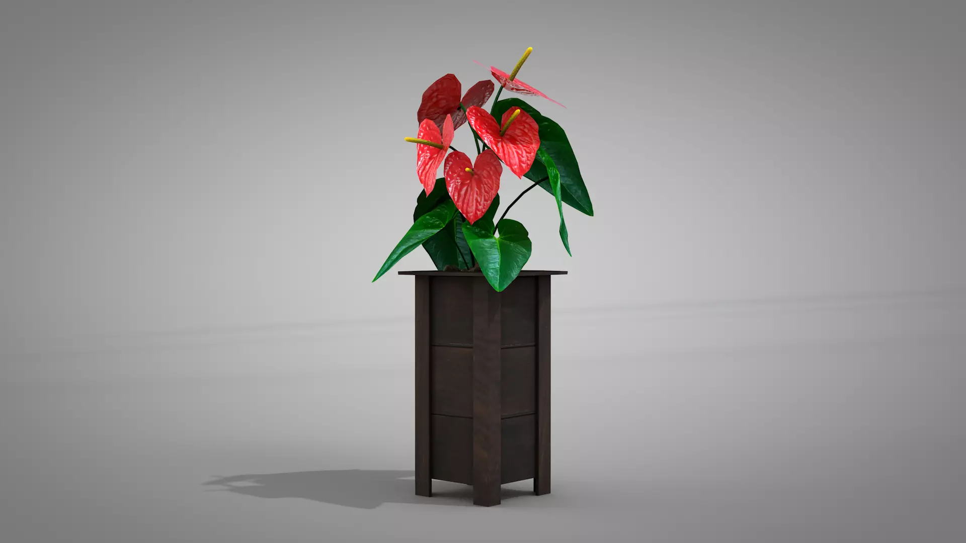 Vase Anthurium Plant 3D Model 3D model_10