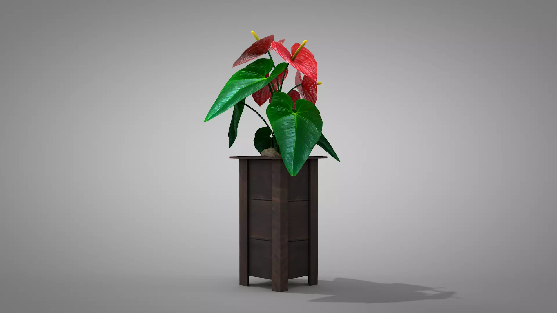 Vase Anthurium Plant 3D Model 3D model_7