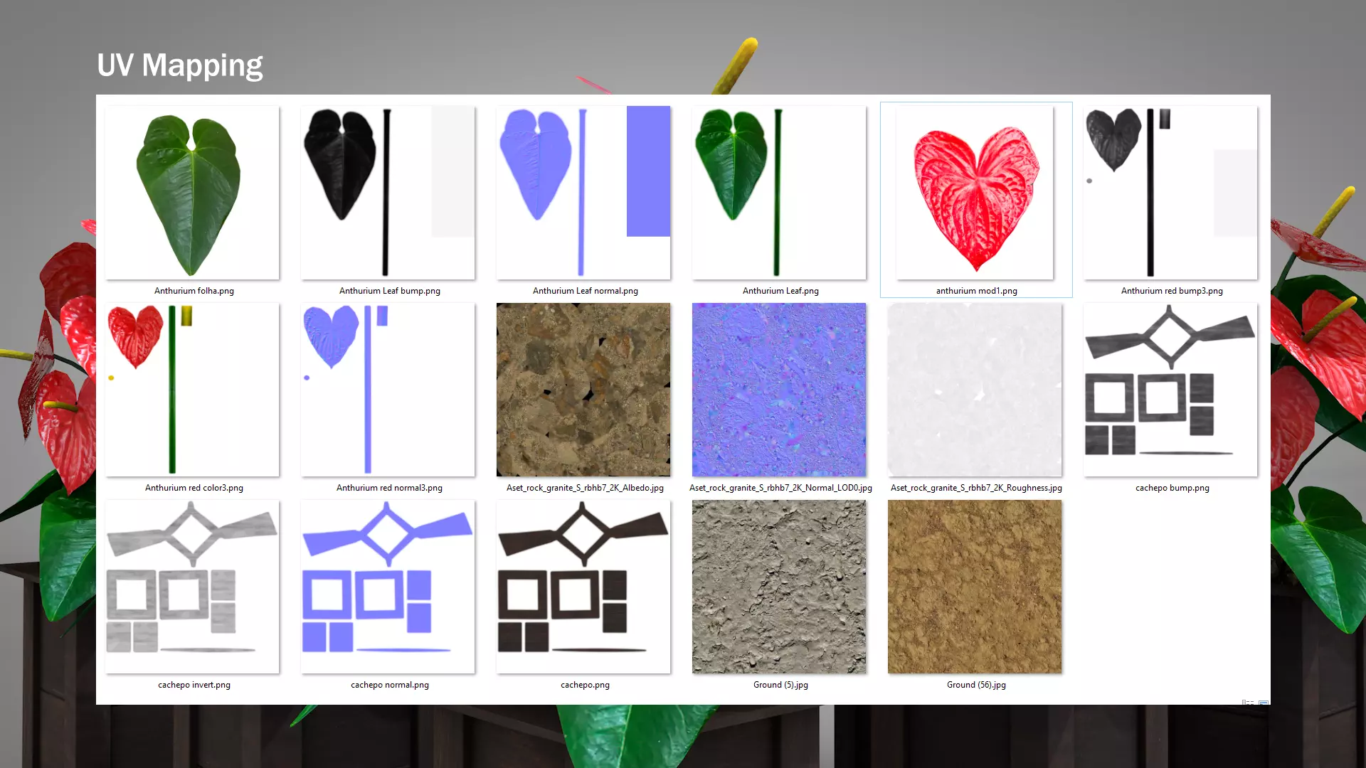 Vase Anthurium Plant 3D Model 3D model_4