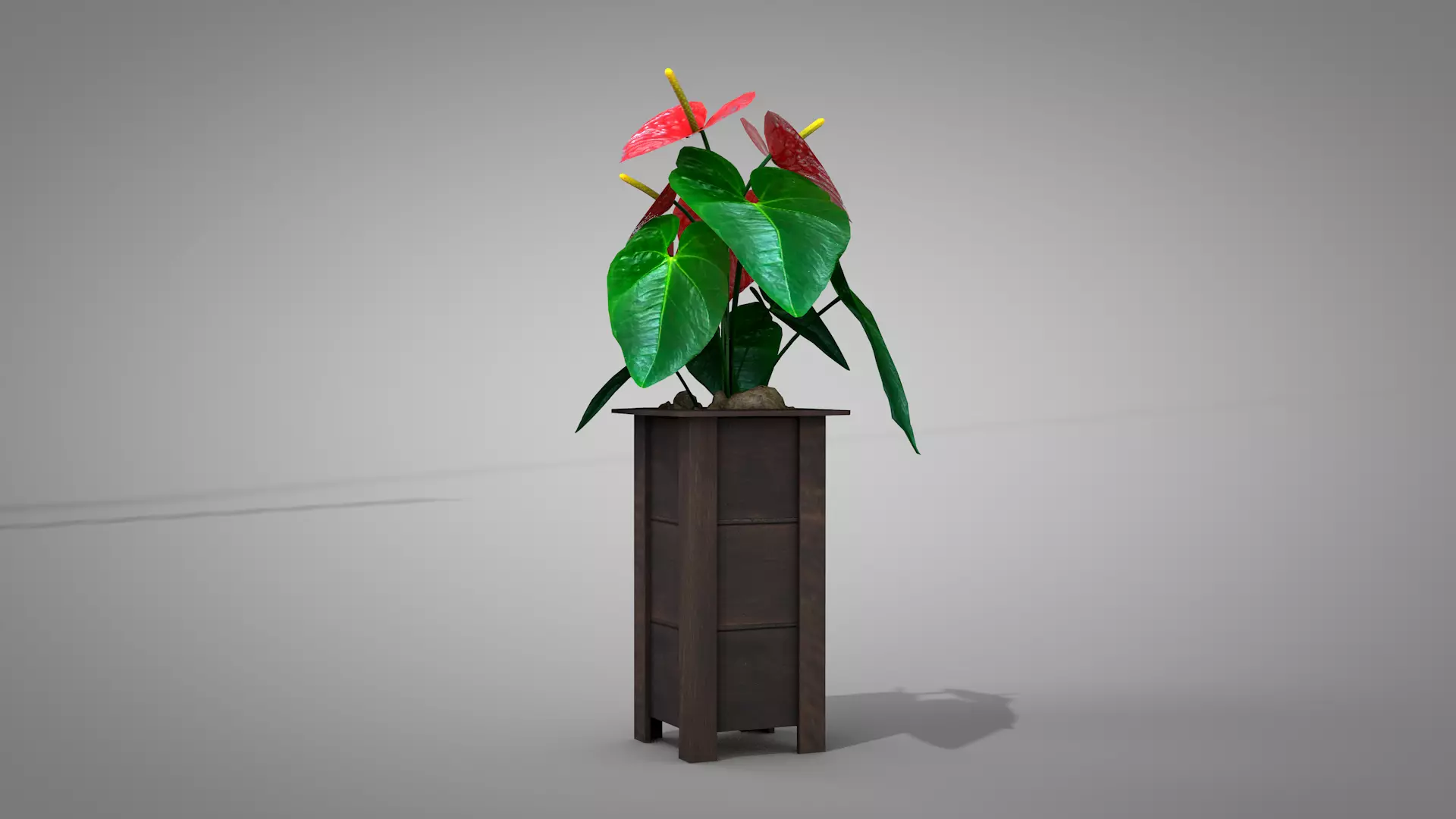 Vase Anthurium Plant 3D Model 3D model_6