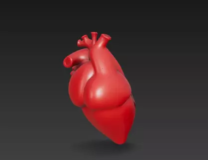 3D Human Heart Model Medical Anatomy Concept 3D print model_5