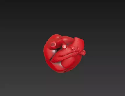 3D Human Heart Model Medical Anatomy Concept 3D print model_12