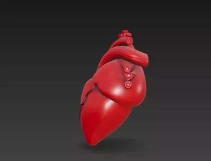 3D Human Heart Model Medical Anatomy Concept 3D print model_9