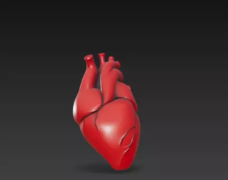 3D Human Heart Model Medical Anatomy Concept 3D print model_2