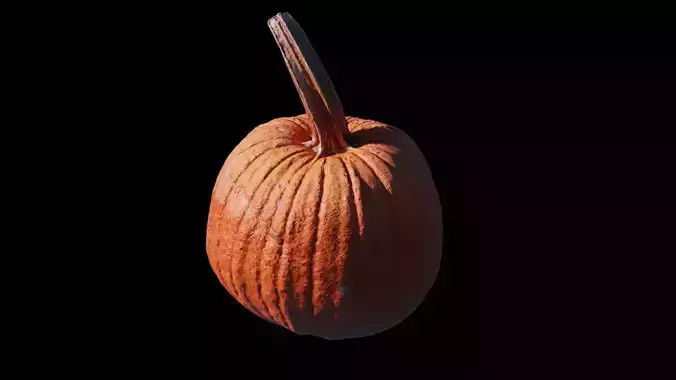 Pumpkin Patch Building Kit 3D model 4