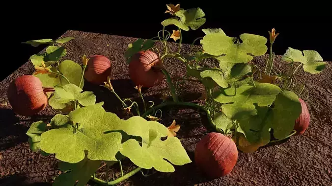 Pumpkin Patch Building Kit