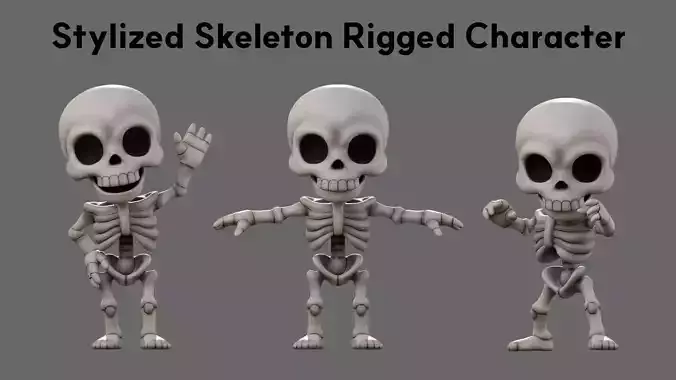 SD Skeleton Stylized Rigged Skeleton Character