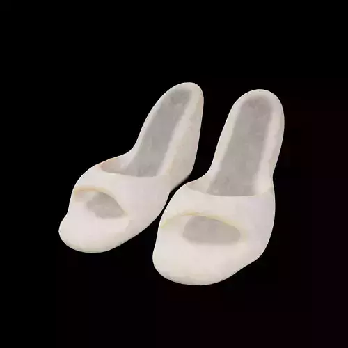 High Heeled Sandals v1 002