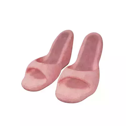 High Heeled Sandals v1 004