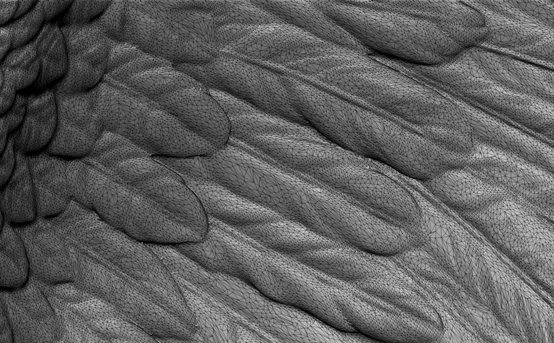 Wings Printable  1 3D print model_4