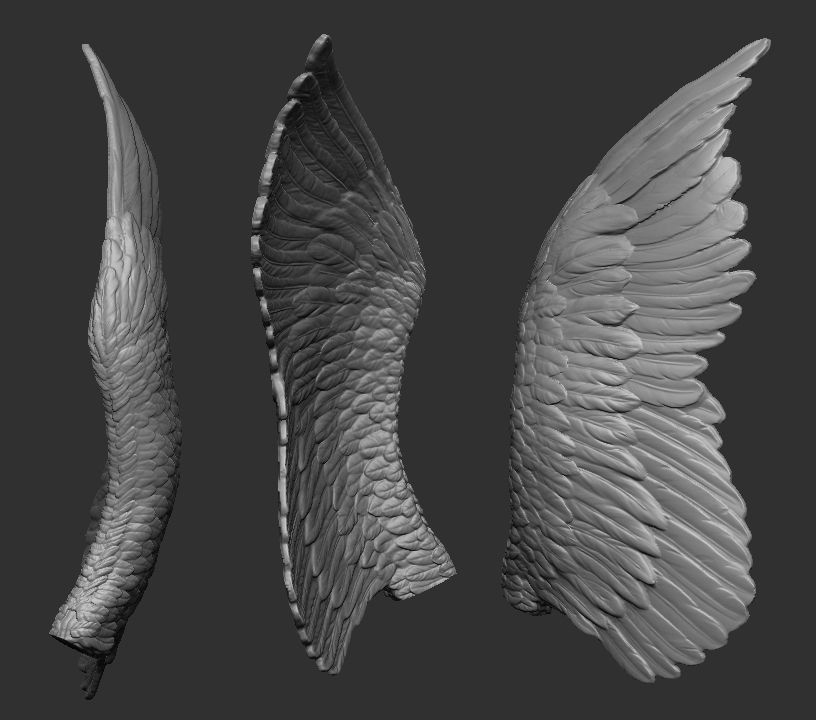 Wings Printable  1 3D print model_2