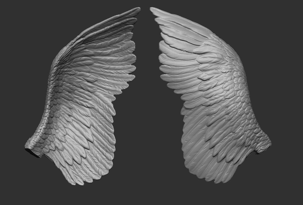 Wings Printable  1 3D print model_1