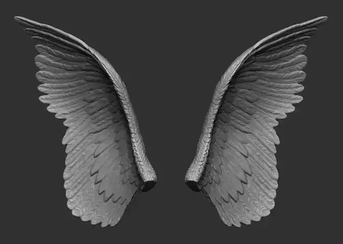 Wings Printable  1 3D print model