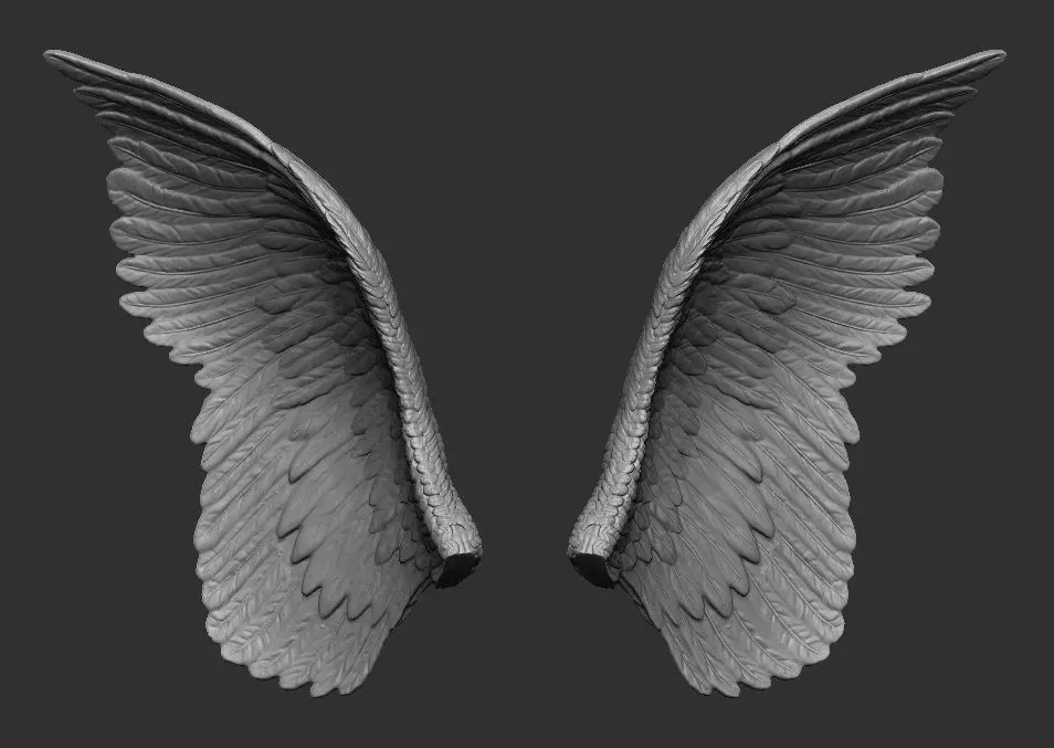 Wings Printable  1 3D print model_0