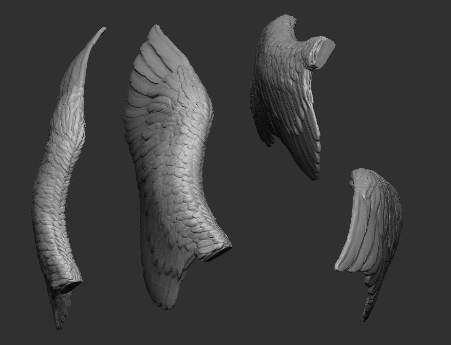 Wings Printable  1 3D print model_3