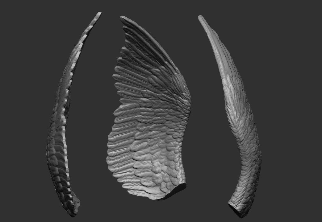 Wings printable 3 3D print model_1