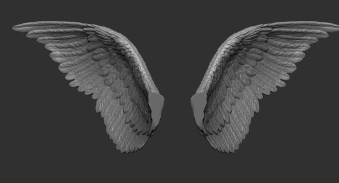 Wings printable 3 3D print model