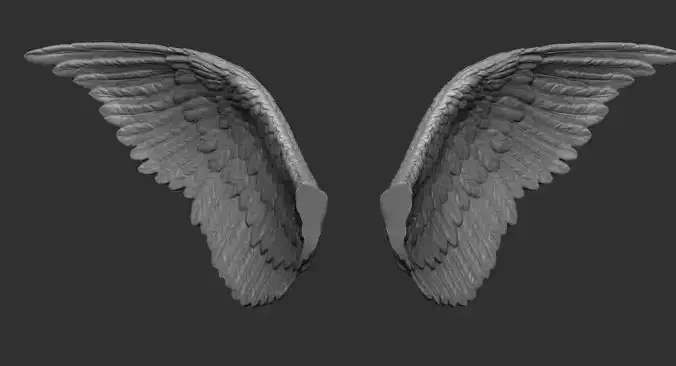 Wings printable 3 3D print model