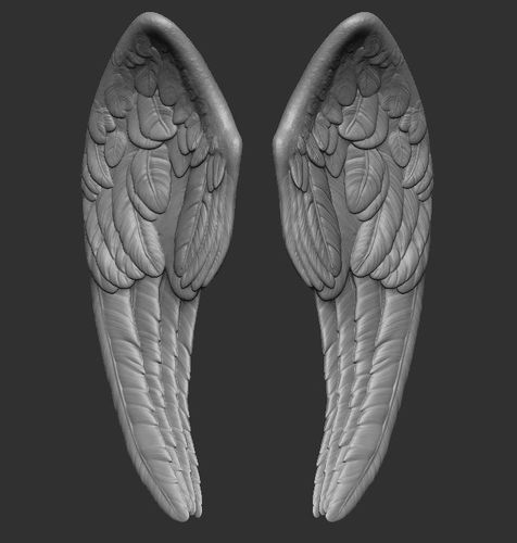 Wings printable 4 3D print model