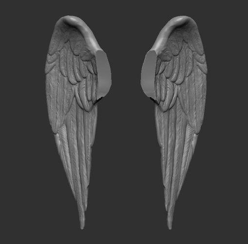 Wings Printable 2 3D print model