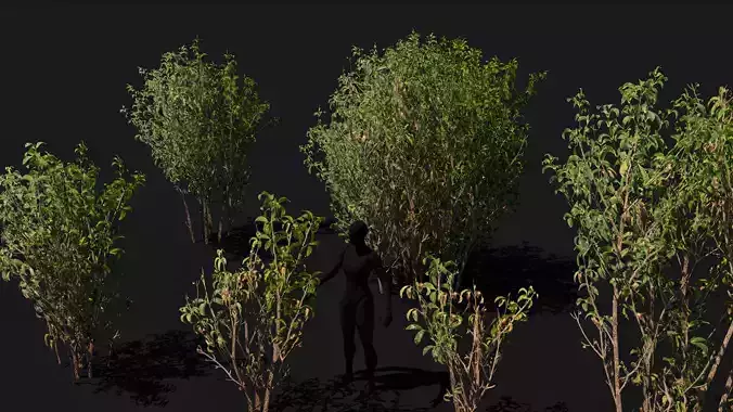 Tall forest shrubs game ready set