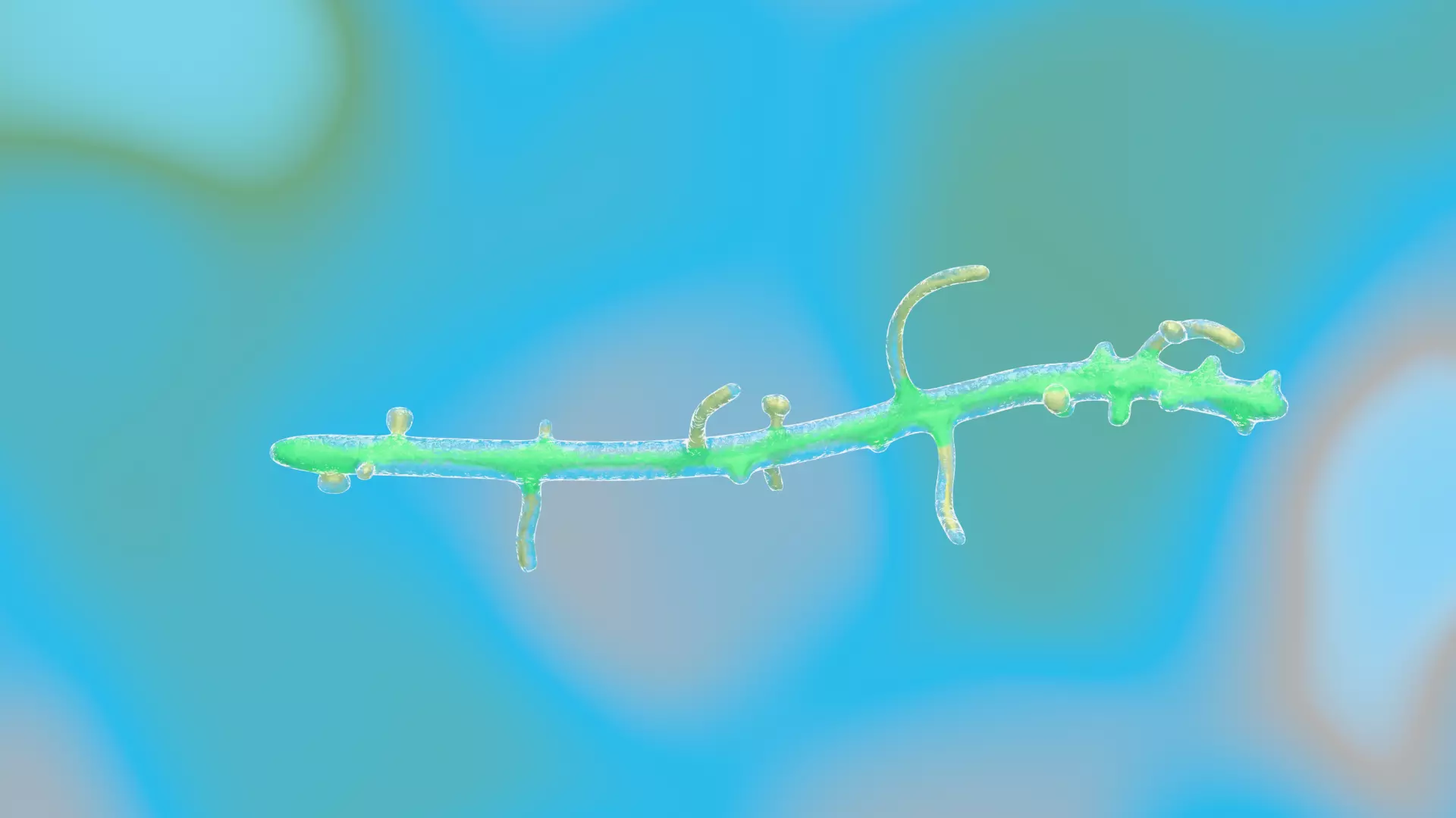 Animated microbes 11-15 Low-poly 3D model_6