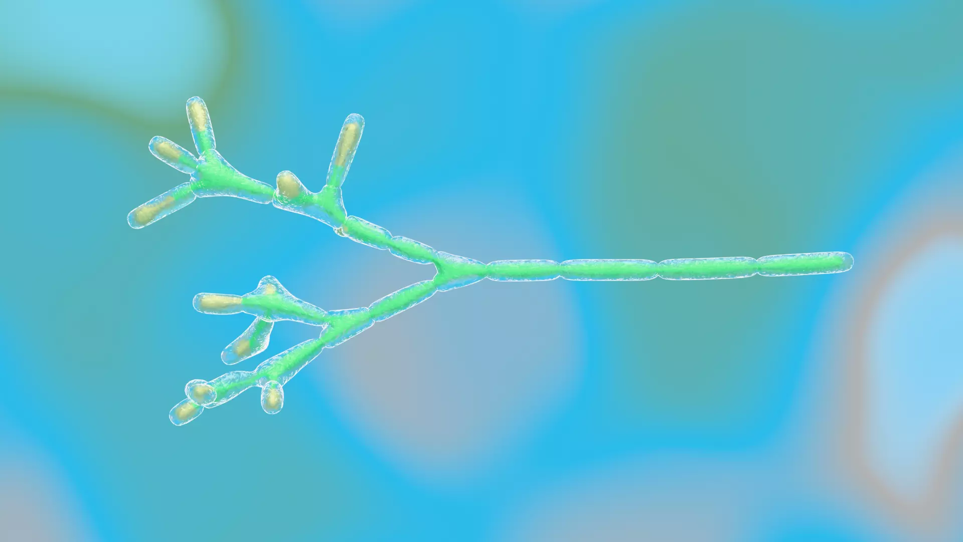 Animated microbes 11-15 Low-poly 3D model_4